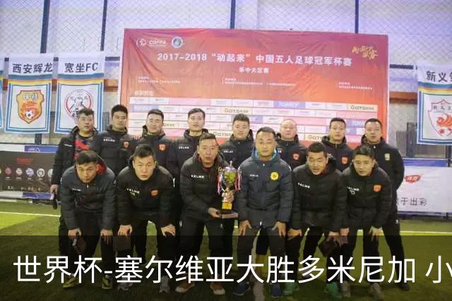 世界杯-塞尔维亚大胜多米尼加 小组第二进八强
