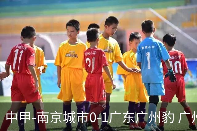 中甲-南京城市0-1广东广州豹 广州豹7分领跑 若昂·卡洛斯制胜