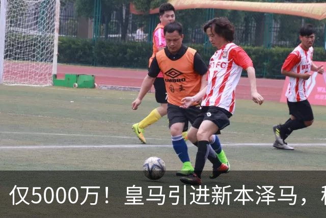 仅5000万！皇马引进新本泽马，穆帅4231战术升级，瞄准西甲欧冠双冠