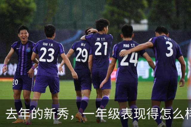 去年的新秀，一年级表现得怎么样呢【上】