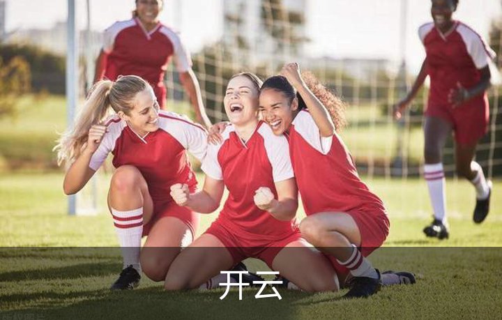 开云简介