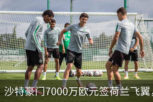 沙特豪门7000万欧元签荷兰飞翼，4年合同挣6800万