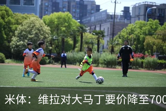 米体：维拉对大马丁要价降至700万欧元，尤文认为还不够低