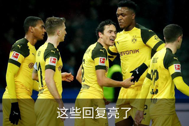 这些回复亮了
